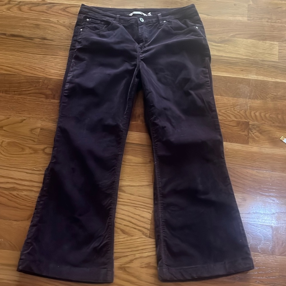 Soft surroundings purple velvet pants size 10